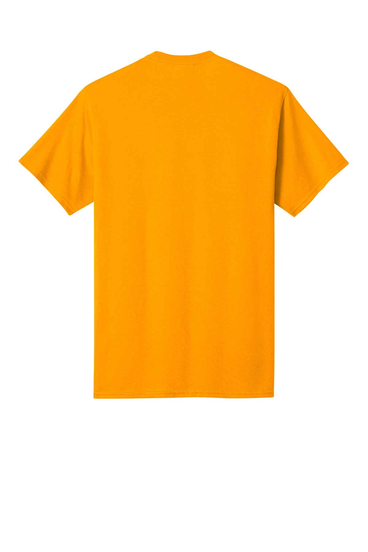 PC54 — Gold — full back