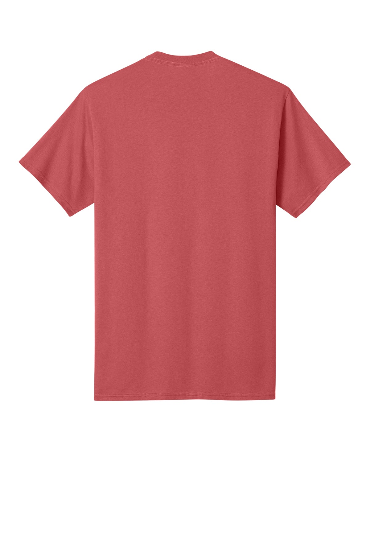 PC54 — Zinnia — full back