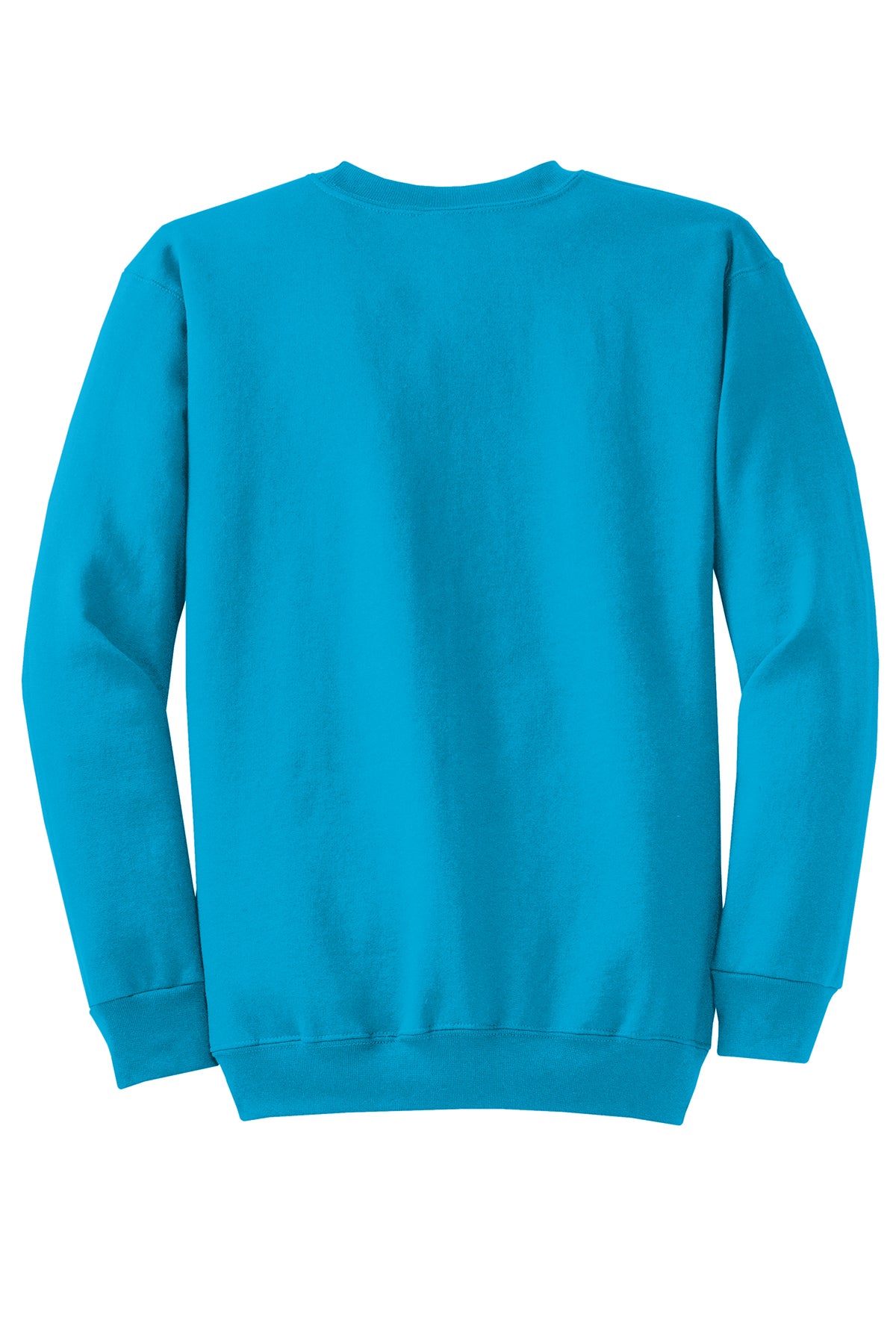 PC78 — Neon Blue — full back