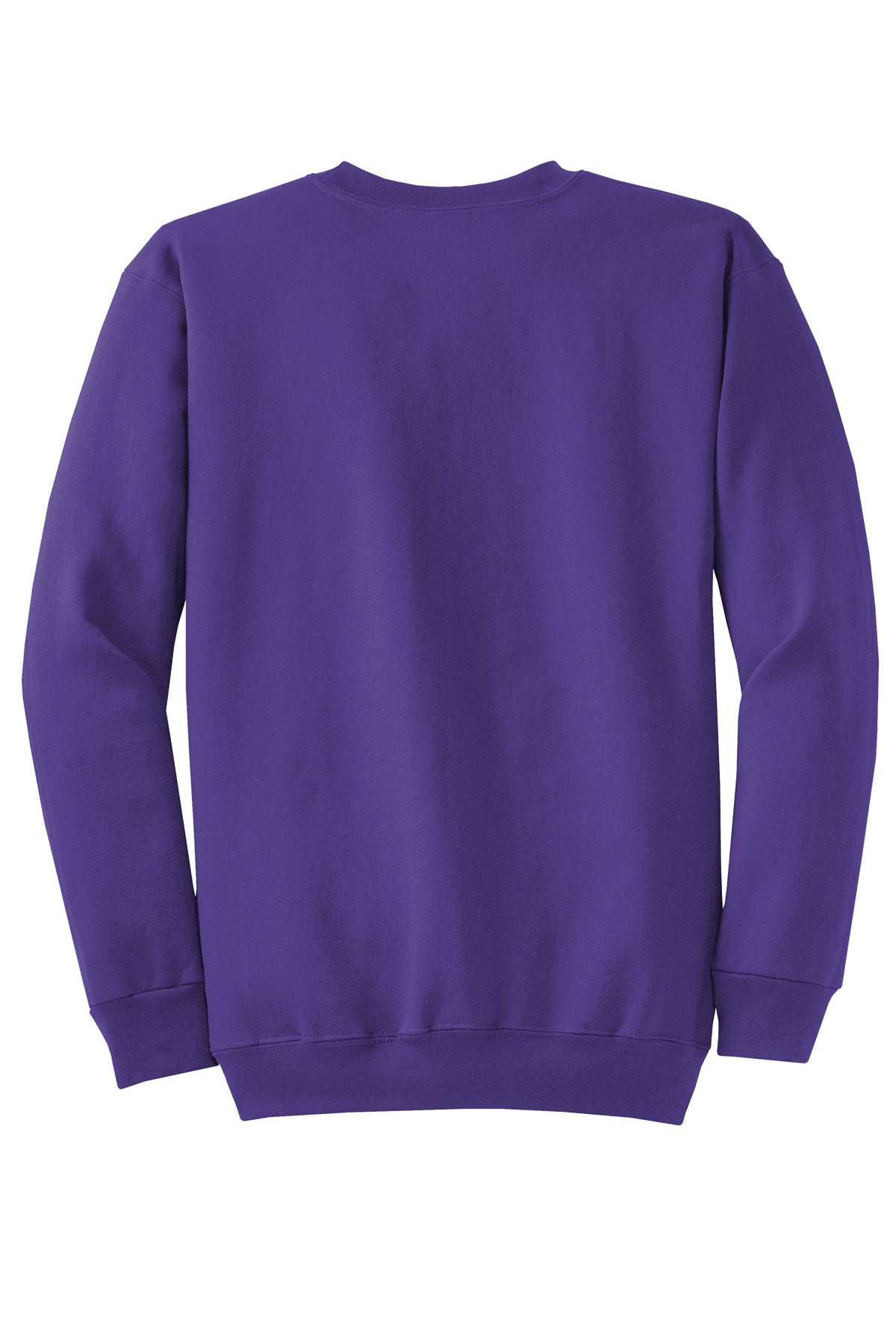 PC78 — Purple — full back